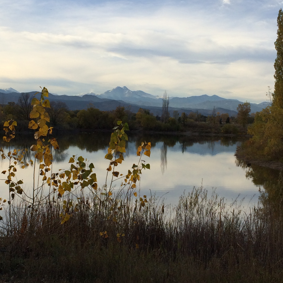 Longmont